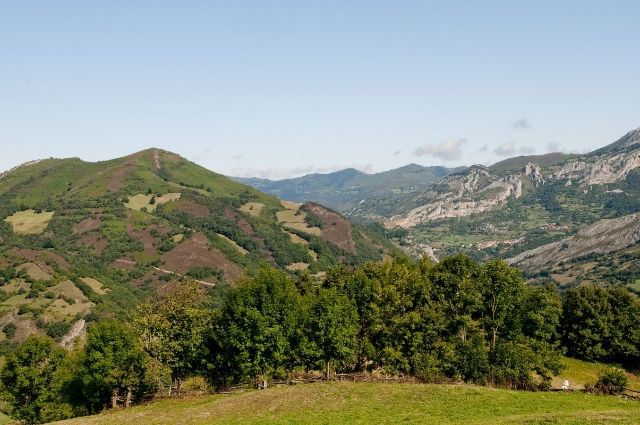 Imagen L.lamas - Yanos. PR-AS 264