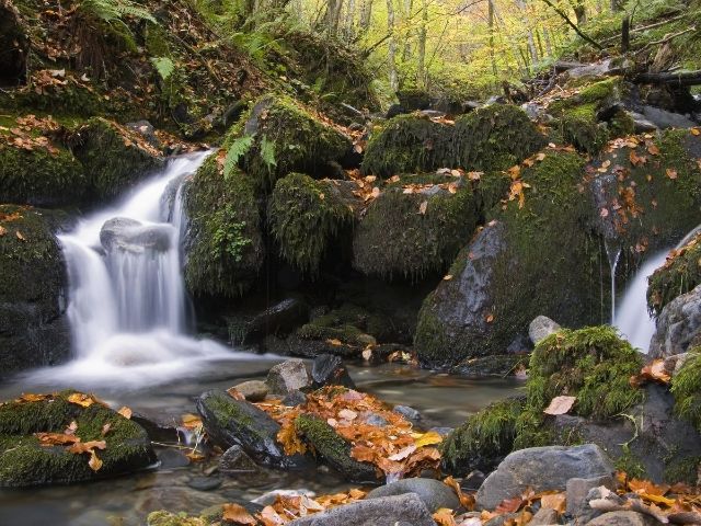 Image Puerto de Piedrafita. PR-AS 265