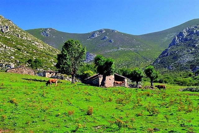 Image Las Brañas. PR-AS 30