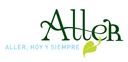 Ayuntamiento de Aller